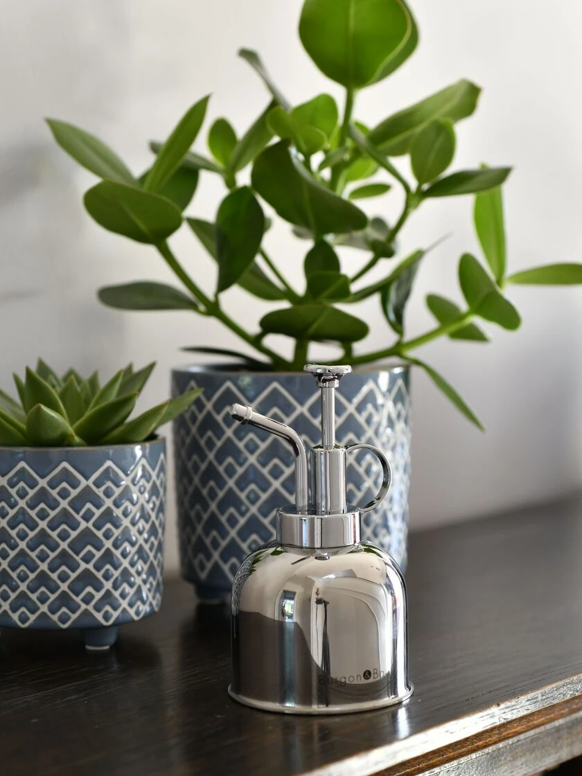 Indoor Plant Mister - Image 4