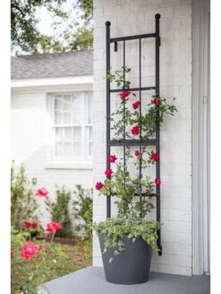 Essex Wall Trellis