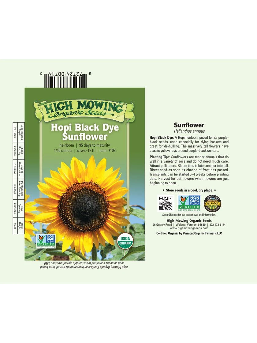 Hopi Black Dye Sunflower Organic Seeds - Image 2