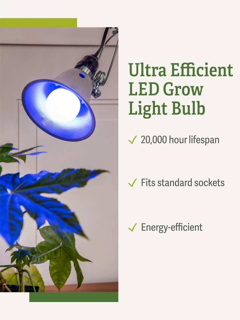 Miracle LED® Grow Light Bulb, Blue - Image 3
