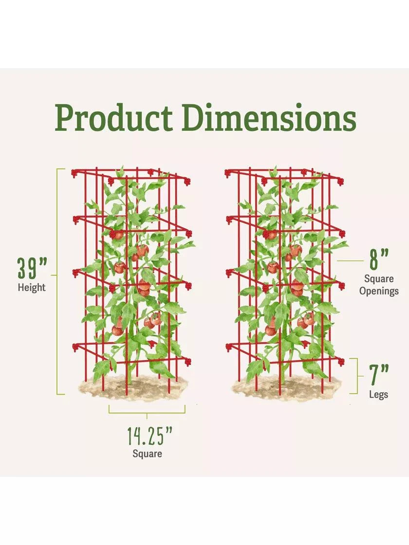 Tomato Cages, Set Of 4 - Image 6