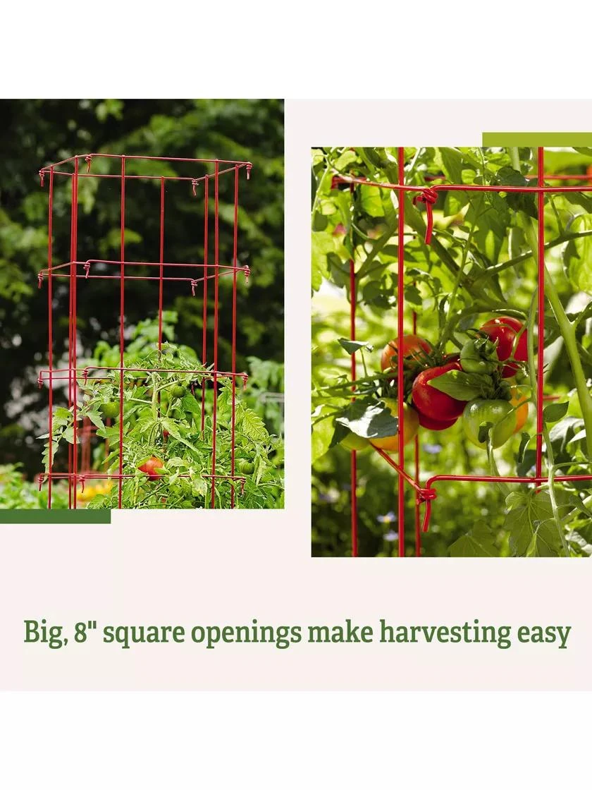 Tomato Cages, Set Of 4 - Image 7