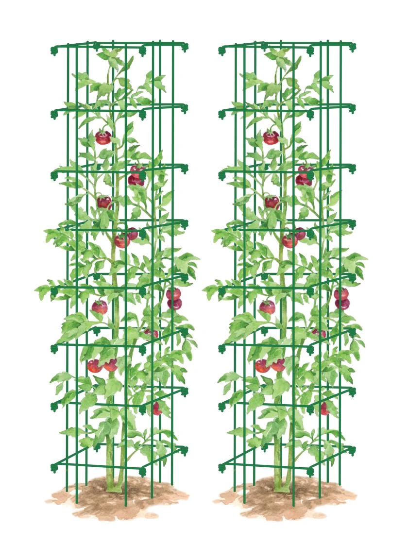 Tomato Towers, Set Of 2 - Image 4