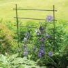 Jardin Ladder Trellis