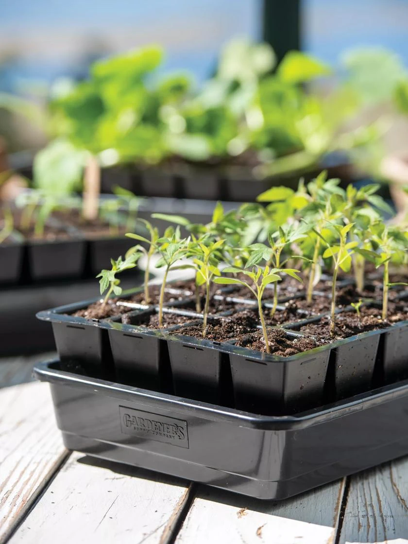 Growease Seed Starter Kit - Image 2