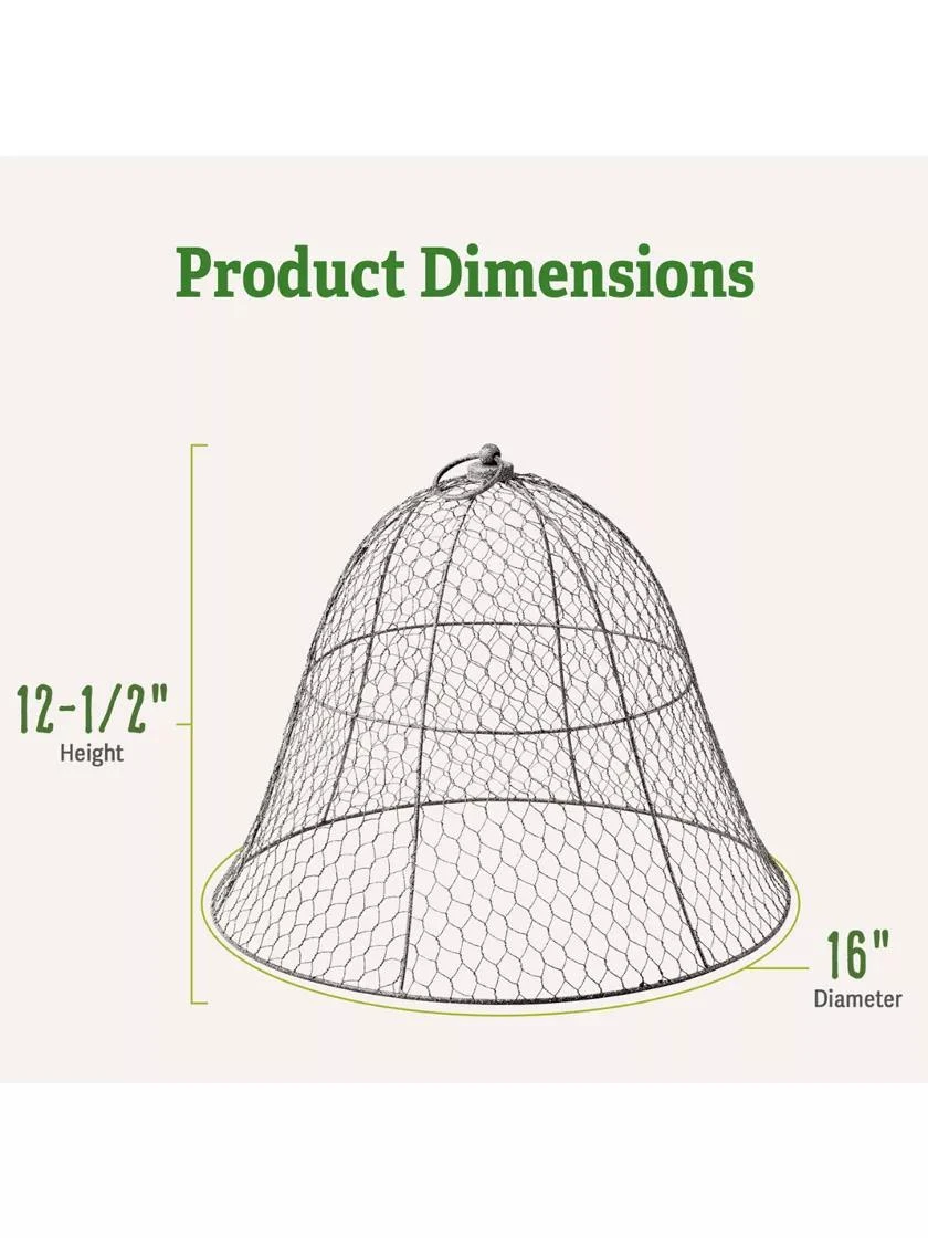 Chicken Wire Cloche - Image 3