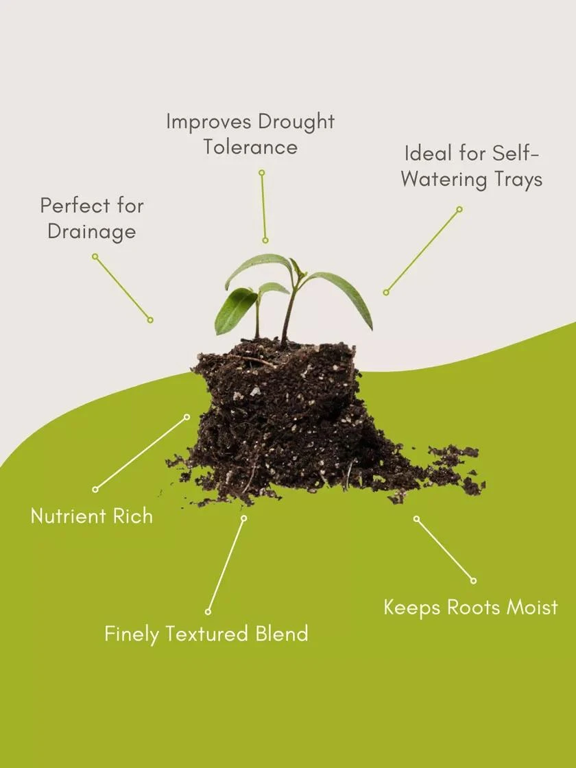 Organic Self-Watering Potting Mix, 20 Qts. - Image 4