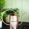 Copper Indoor Watering Can
