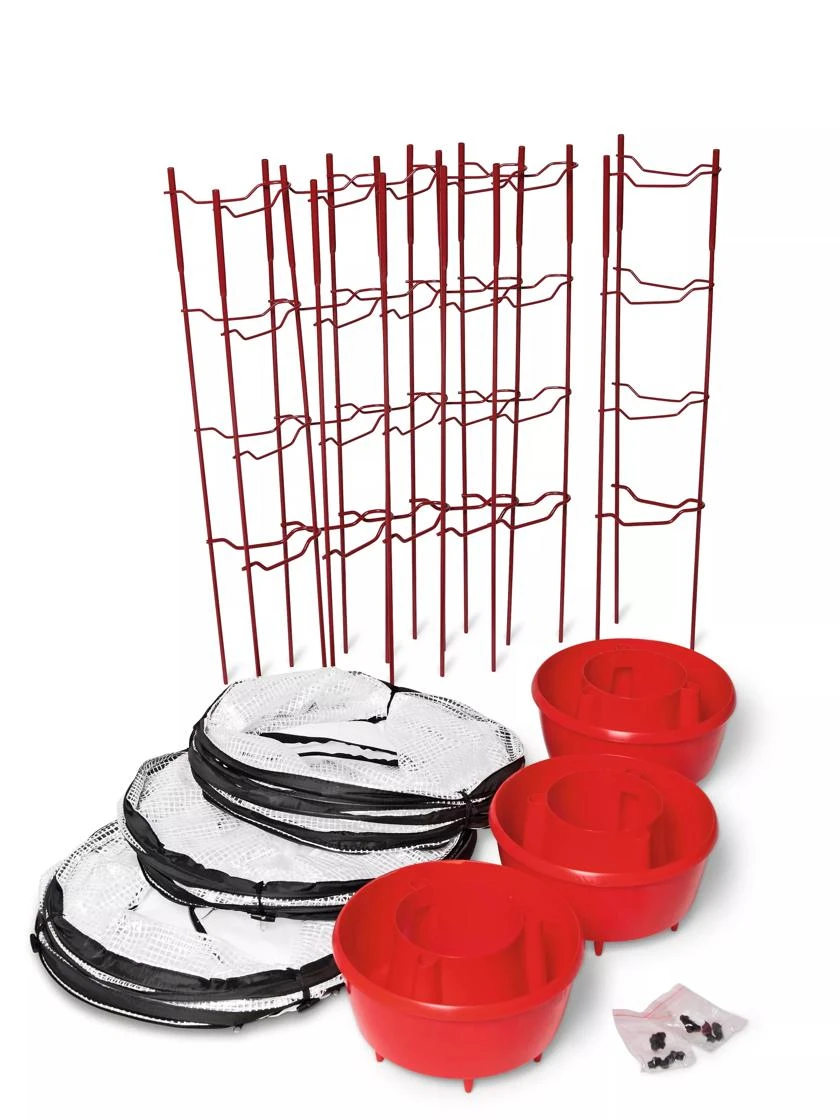 Tomato TLC Kits, Set Of 3 - Image 4