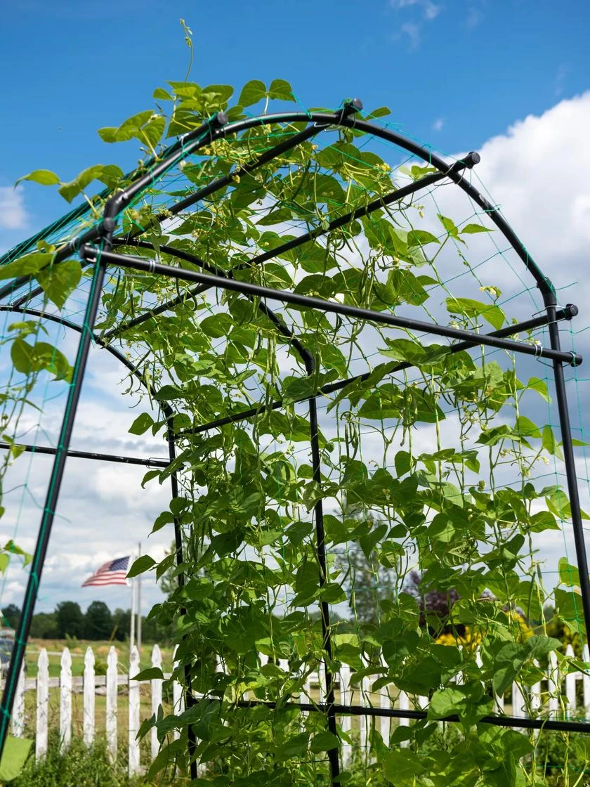 Titan Squash Tunnel - Image 9