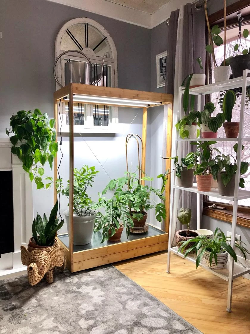 Tall Bamboo LED Grow Light Garden - Image 4