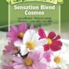 Sensation Blend Cosmos Organic Seeds