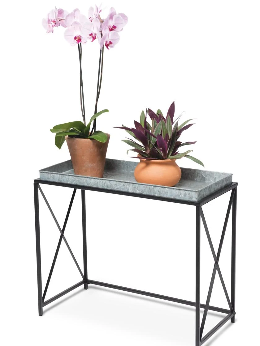 Plant Stand With Galvanized Tray - Image 2