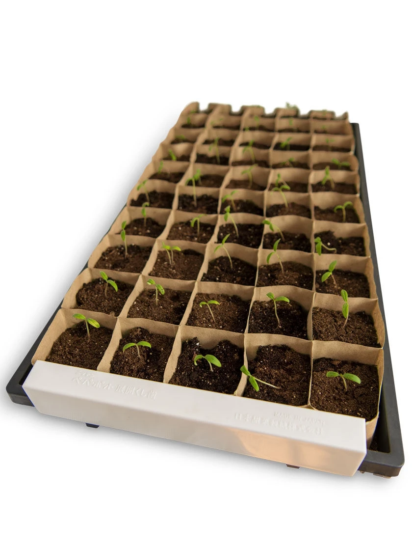 Paper Pot Opening Clips, Set Of 2 - Image 2