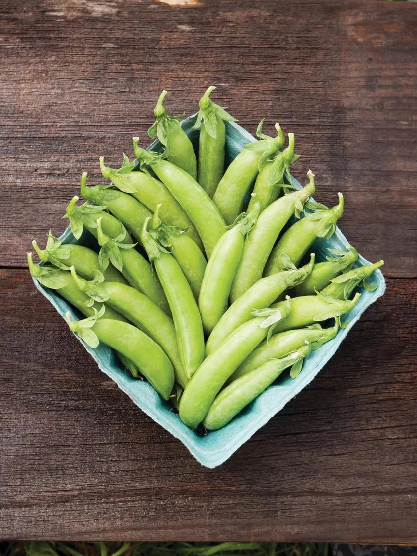 Family Garden Organic Seed Collection, Set Of 7 - Image 3