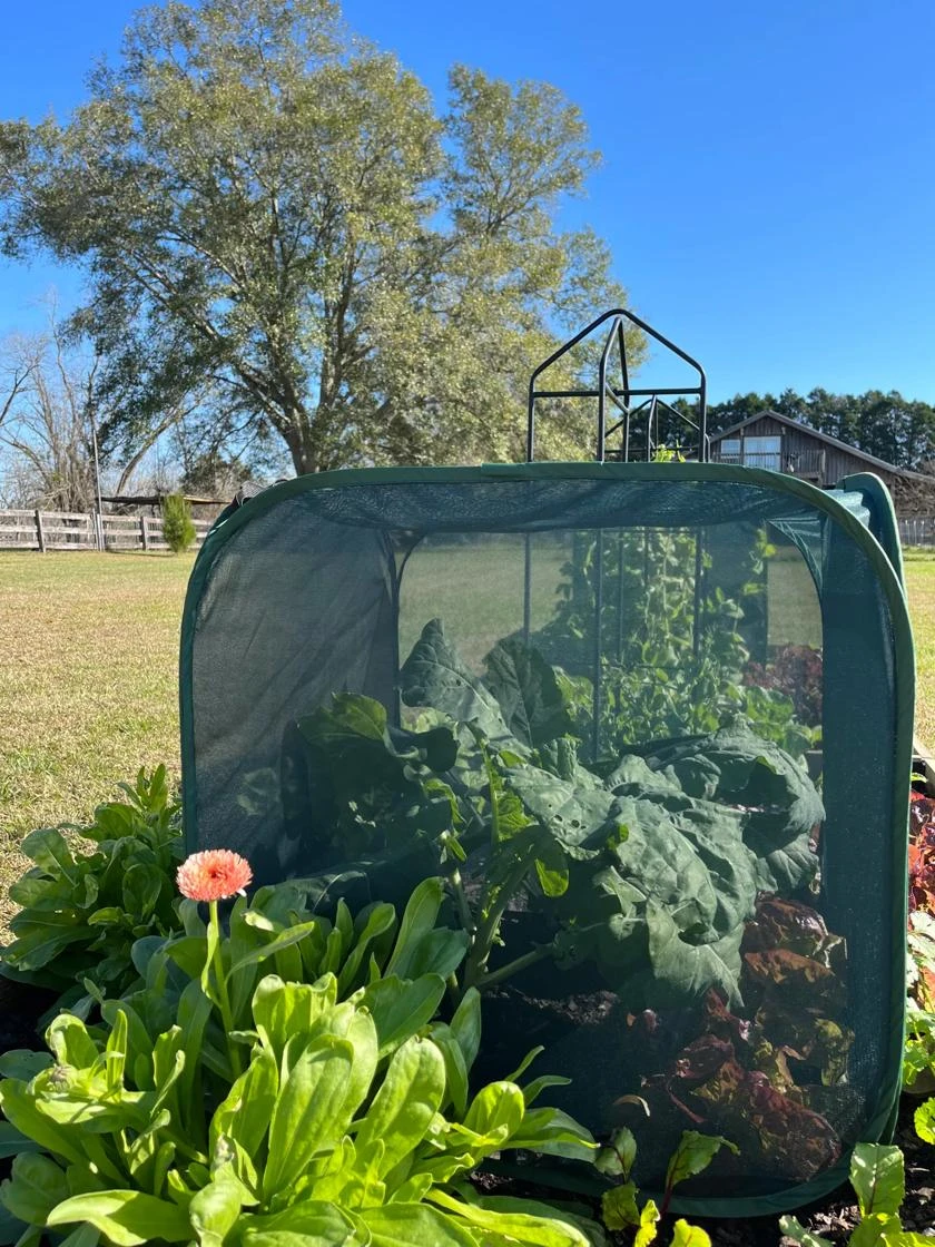 Pest Control Pop-Ups - Image 2