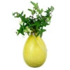 Achla Designs Teardrop Rooting Vase