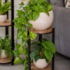 Double Tower Plant Stand