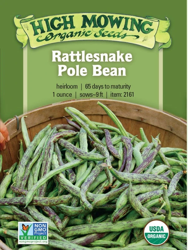 Rattlesnake Pole Bean Organic Seeds