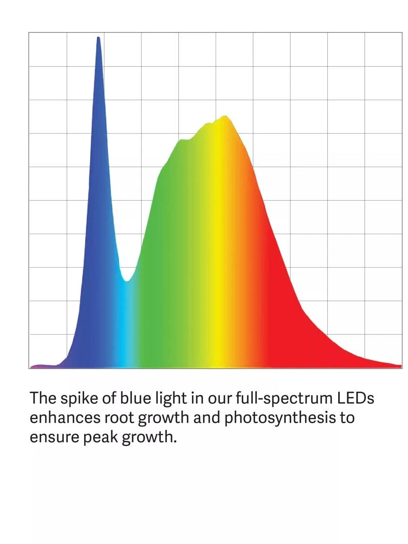 LED SunLite® Tabletop Garden - Image 5